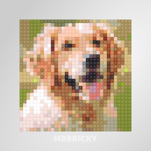 Hond - Golden Retriever - Bouwsteentjes display