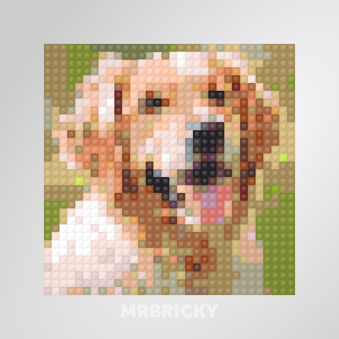 Hond - Golden Retriever - Bouwsteentjes display