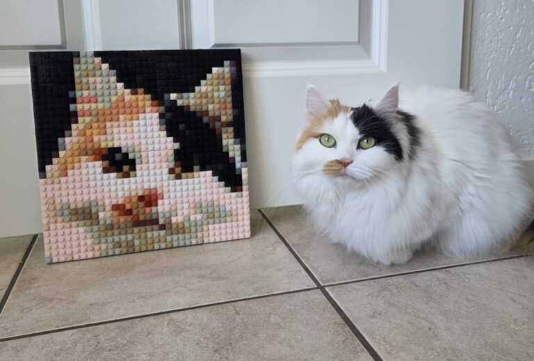 Brick art vs. LEGO Art: wat is het verschil?